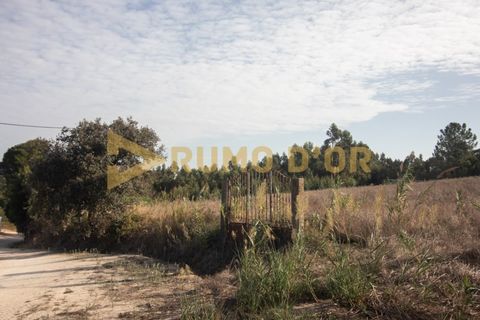 Helårsgrund i Alenquer, Lisbon, Alenquer - € 75.000 | Ref: 66259 - foto 5