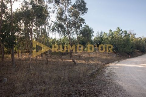 Helårsgrund i Alenquer, Lisbon, Alenquer - € 75.000 | Ref: 66259 - foto 6