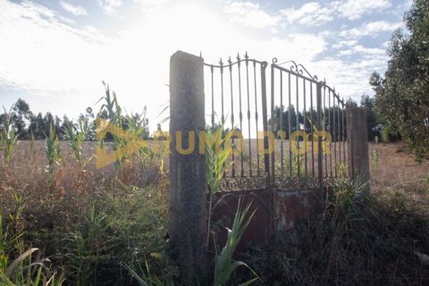 Helårsgrund i Alenquer, Lisbon, Alenquer - € 75.000 | Ref: 66259 - foto 8