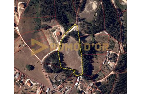Helårsgrund i Alenquer, Lisbon, Alenquer - € 75.000 | Ref: 66259 - foto 1