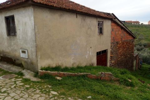 Villa a Noura e Palheiros, Vila Real, Noura e Palheiros - € 25.000 | Ref: 147/25 - foto 8