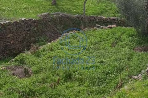 Villa a Noura e Palheiros, Vila Real, Noura e Palheiros - € 32.500 | Ref: 148/25 - foto 16