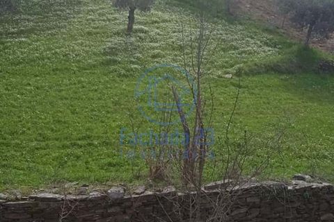 Villa a Noura e Palheiros, Vila Real, Noura e Palheiros - € 32.500 | Ref: 148/25 - foto 17