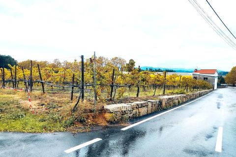 Helårsgrund i Moncao, Viana do Castelo, Moncao - € 493.000 | Ref: F1-08-11 - foto 4