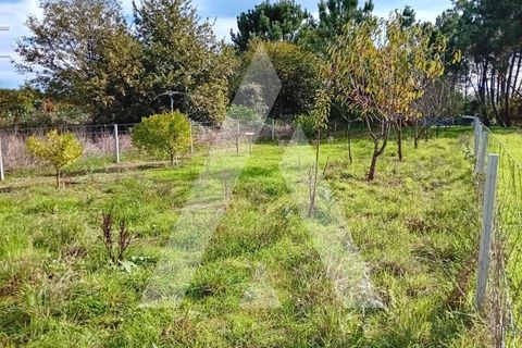 Helårsgrund i Oliveira do Bairro, Aveiro, Oliveira do Bairro - € 100.000 | Ref: 1051364/25 OB - foto 18