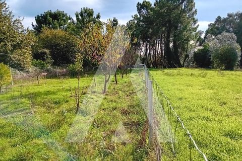 Helårsgrund i Oliveira do Bairro, Aveiro, Oliveira do Bairro - € 100.000 | Ref: 1051364/25 OB - foto 19