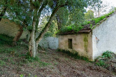 Helårsgrund i Sintra, Lisbon, Sintra - € 678.000 | Ref: CAZ/09 - foto 17