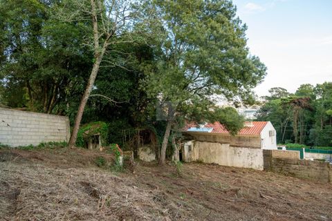 Helårsgrund i Sintra, Lisbon, Sintra - € 678.000 | Ref: CAZ/09 - foto 25