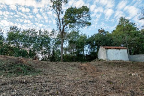 Helårsgrund i Sintra, Lisbon, Sintra - € 678.000 | Ref: CAZ/09 - foto 26