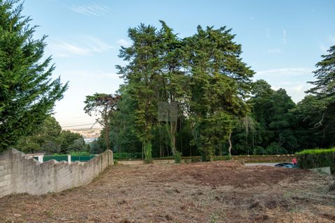 Helårsgrund i Sintra, Lisbon, Sintra - € 678.000 | Ref: CAZ/09 - foto 27