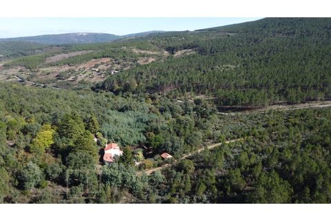 Farm i Marvao, Portalegre, Marvao - € 350.000 | Ref: MAS_84 - foto 6