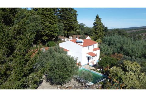 Farm i Marvao, Portalegre, Marvao - € 350.000 | Ref: MAS_84 - foto 8
