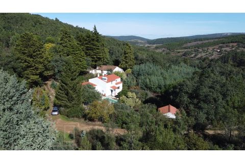 Farm i Marvao, Portalegre, Marvao - € 350.000 | Ref: MAS_84 - foto 10