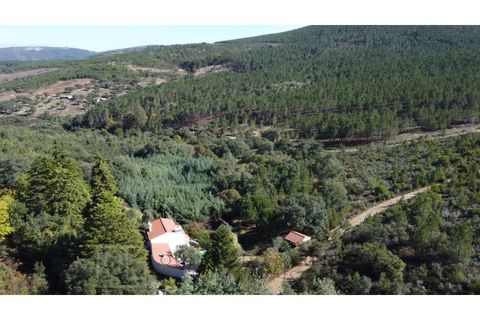 Farm i Marvao, Portalegre, Marvao - € 350.000 | Ref: MAS_84 - foto 11