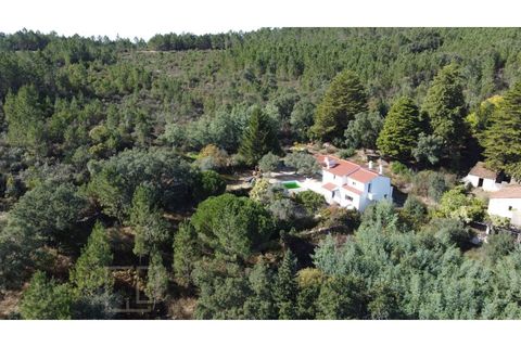 Farm i Marvao, Portalegre, Marvao - € 350.000 | Ref: MAS_84 - foto 12