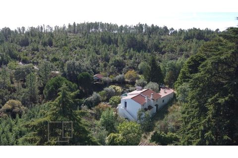 Farm i Marvao, Portalegre, Marvao - € 350.000 | Ref: MAS_84 - foto 14