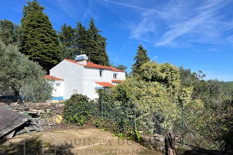 Farm i Marvao, Portalegre, Marvao - € 350.000 | Ref: MAS_84 - foto 15