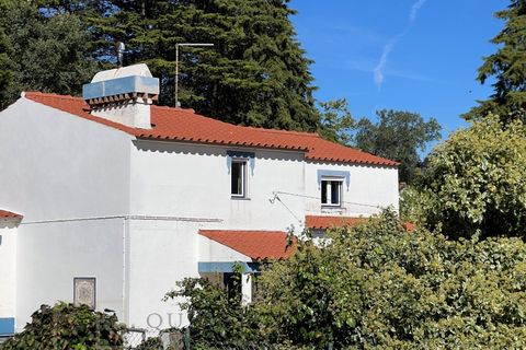 Farm i Marvao, Portalegre, Marvao - € 350.000 | Ref: MAS_84 - foto 16