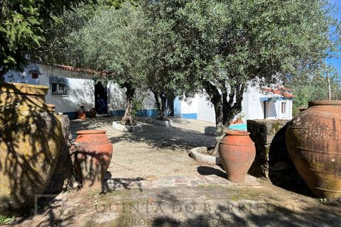 Farm i Marvao, Portalegre, Marvao - € 350.000 | Ref: MAS_84 - foto 17