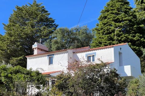 Farm i Marvao, Portalegre, Marvao - € 350.000 | Ref: MAS_84 - foto 26