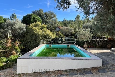 Farm i Marvao, Portalegre, Marvao - € 350.000 | Ref: MAS_84 - foto 47