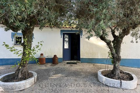 Farm i Marvao, Portalegre, Marvao - € 350.000 | Ref: MAS_84 - foto 49