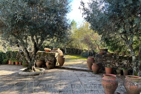 Farm i Marvao, Portalegre, Marvao - € 350.000 | Ref: MAS_84 - foto 50