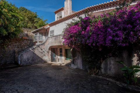 Farm i Almocageme, Lisbon, Almocageme - € 1.800.000 | Ref: KWPT-023662 - foto 2