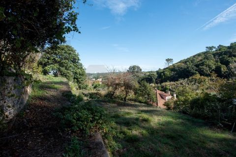Farm i Almocageme, Lisbon, Almocageme - € 1.800.000 | Ref: KWPT-023662 - foto 7