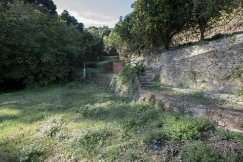 Farm i Almocageme, Lisbon, Almocageme - € 1.800.000 | Ref: KWPT-023662 - foto 8