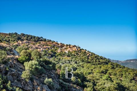 Villa a L'Île-Rousse, Haute-Corse, L'Île-Rousse - € 735.500 | Ref: RV2013 - foto 15