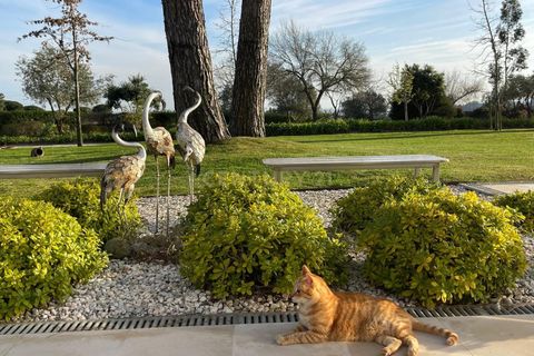 Farm hus i Azambuja, Lisbon, Azambuja - € 1.250.000 | Ref: C0246-03215 - foto 16