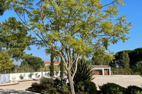 Farm hus i Azambuja, Lisbon, Azambuja - € 1.250.000 | Ref: C0246-03215 - foto 20