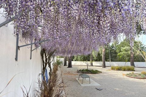 Farm hus i Azambuja, Lisbon, Azambuja - € 1.250.000 | Ref: C0246-03215 - foto 23