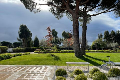 Farm hus i Azambuja, Lisbon, Azambuja - € 1.250.000 | Ref: C0246-03215 - foto 24