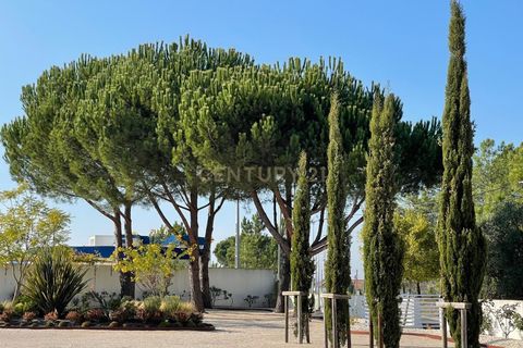 Farm hus i Azambuja, Lisbon, Azambuja - € 1.250.000 | Ref: C0246-03215 - foto 29
