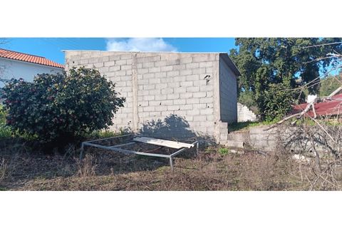 Terra a Macao, Santarem, Macao - € 200/mes | Ref: SÒL_366 - foto 6