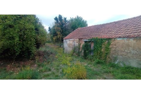Villa i Alenquer, Lisbon, Alenquer - € 129.000 | Ref: MAX-212-24 - foto 11