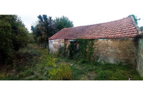 Villa i Alenquer, Lisbon, Alenquer - € 129.000 | Ref: MAX-212-24 - foto 13