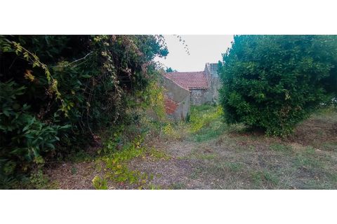 Villa i Alenquer, Lisbon, Alenquer - € 129.000 | Ref: MAX-212-24 - foto 17