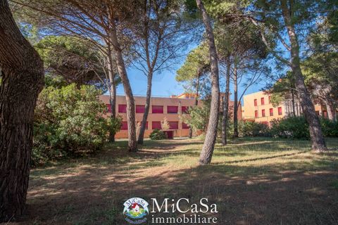 Lejlighed i Pisa, Pisa, Pisa - € 155.000 | Ref: 2659 - foto 9