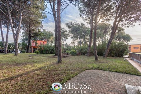 Lejlighed i Pisa, Pisa, Pisa - € 155.000 | Ref: 2659 - foto 24