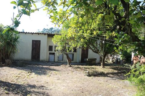 Villa i Valenca, Viana do Castelo, Valenca - € 240.000 | Ref: CAS_4176 - foto 5