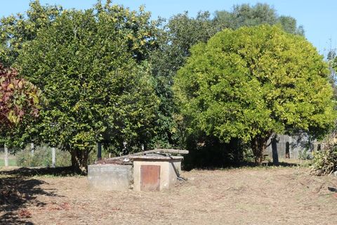 Villa i Valenca, Viana do Castelo, Valenca - € 240.000 | Ref: CAS_4176 - foto 12