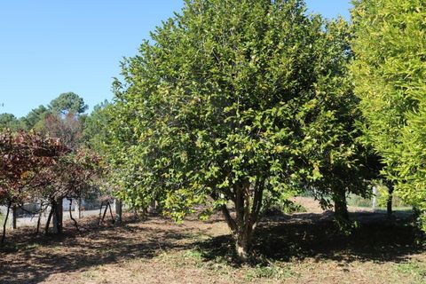Villa i Valenca, Viana do Castelo, Valenca - € 240.000 | Ref: CAS_4176 - foto 13