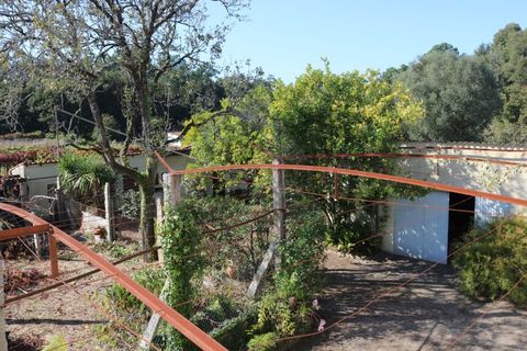 Villa i Valenca, Viana do Castelo, Valenca - € 240.000 | Ref: CAS_4176 - foto 41