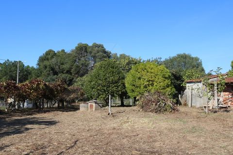 Villa i Valenca, Viana do Castelo, Valenca - € 240.000 | Ref: CAS_4176 - foto 48