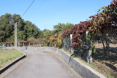 Villa i Valenca, Viana do Castelo, Valenca - € 240.000 | Ref: CAS_4176 - foto 49