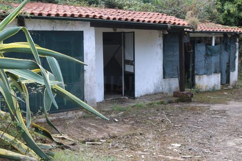 Træhytte i Valenca, Viana do Castelo, Valenca - € 98.000 | Ref: CAS_4177 - foto 3