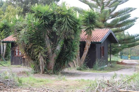 Træhytte i Valenca, Viana do Castelo, Valenca - € 98.000 | Ref: CAS_4177 - foto 9